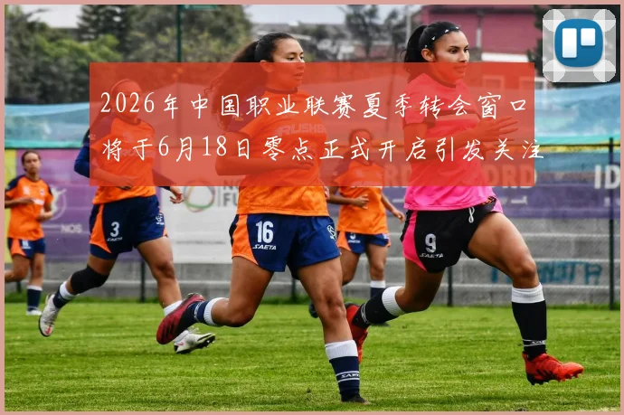 2026年中国职业联赛夏季转会窗口将于6月18日零点正式开启引发关注