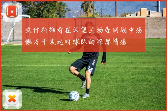 武什科维奇在汉堡主场告别战中感慨万千表达对球队的深厚情感